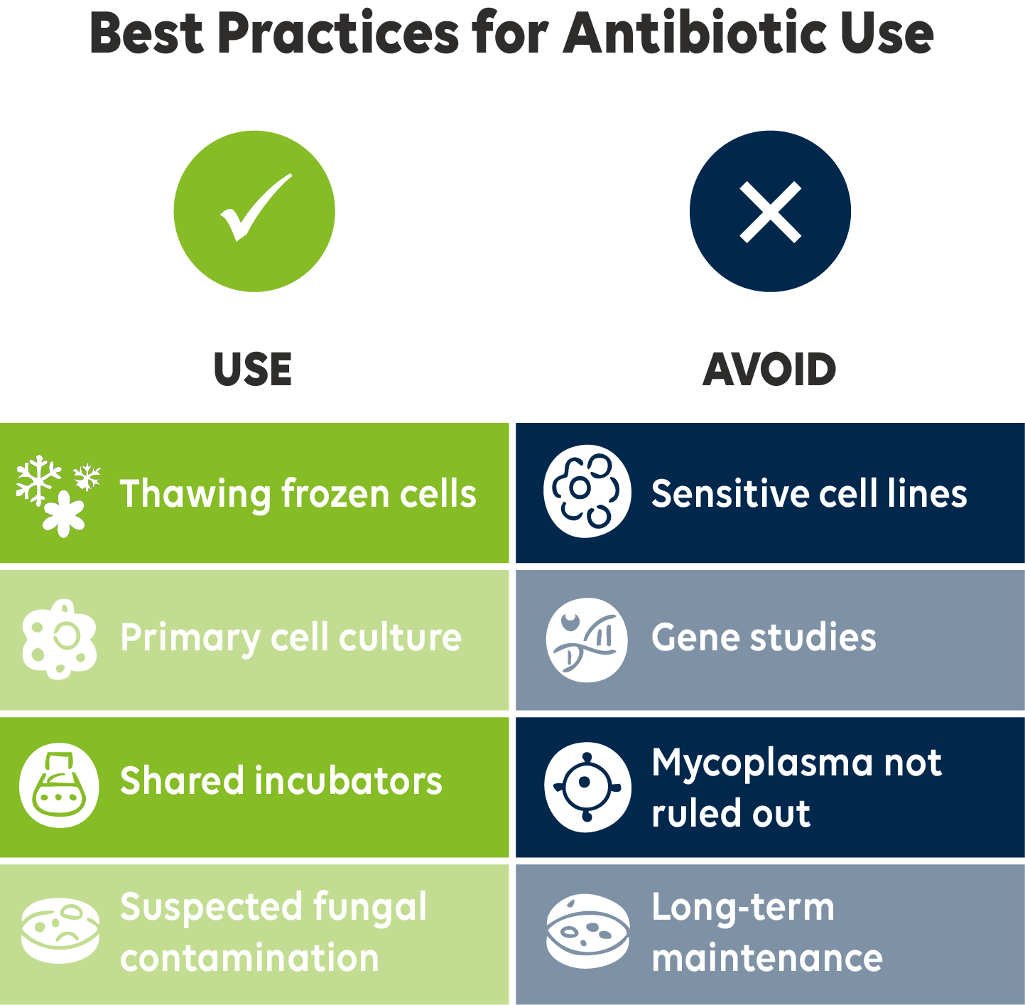 Infographic titled 'Best Practices for Antibiotic Use in Cell Culture,' showing a comparison of recommended and discouraged scenarios, with icons representing lab settings, cell thawing, gene studies, and mycoplasma detection.
